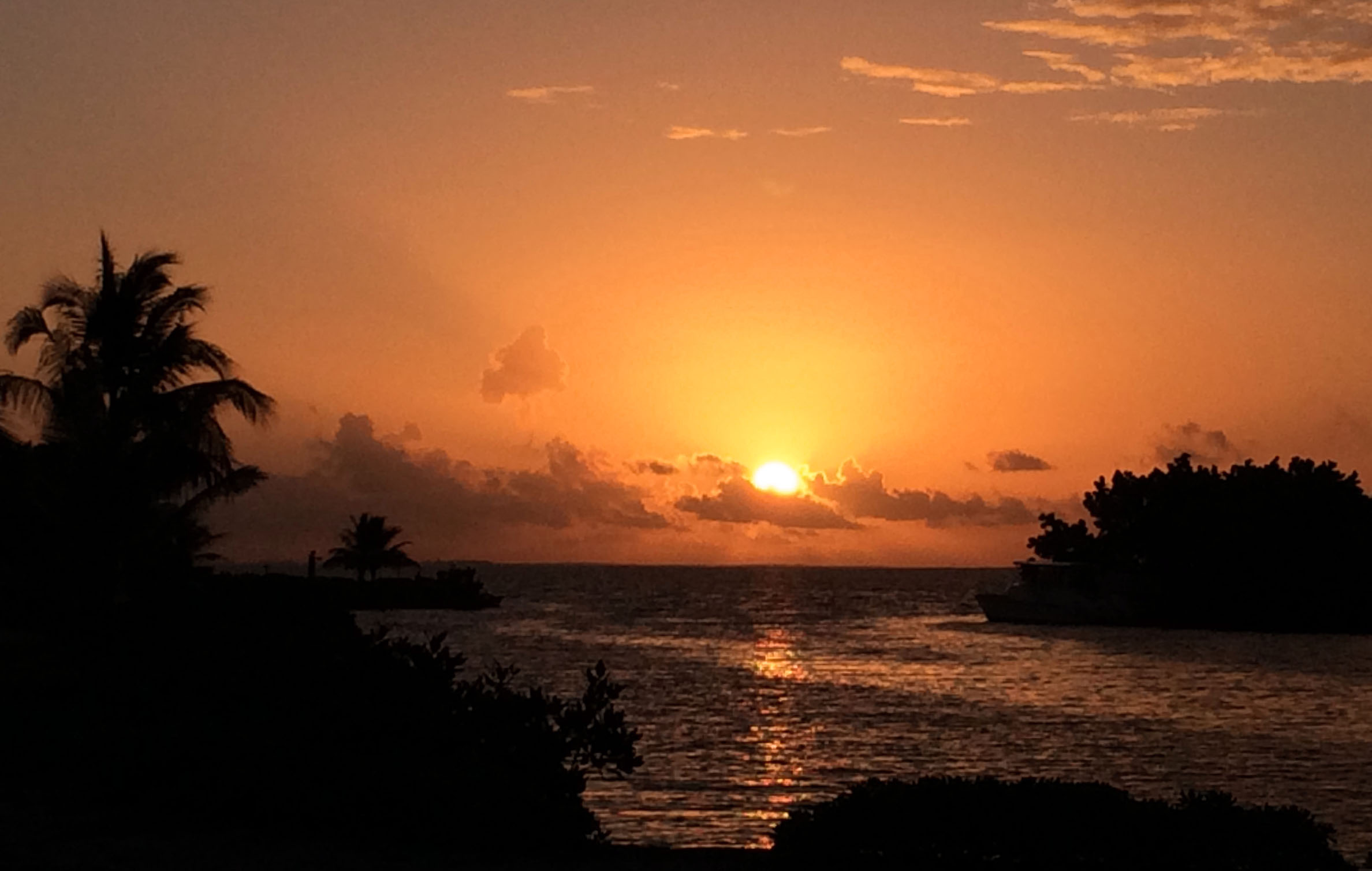 Sunrise Moment
